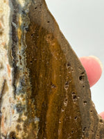 8th Vein Ocean Jasper Slab #15