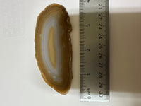 Agate Slice #18