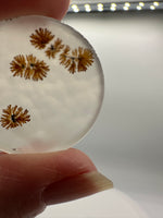 Scenic Dendritic Agate Cabochon #2