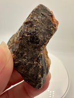 Madagascar Raw Amber Specimen #15