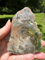 8th Vein Ocean Jasper Slab #88