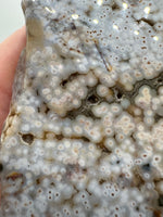 8th Vein Ocean Jasper Slab #41