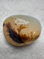 Designer Dendritic Agate Cabochon #6