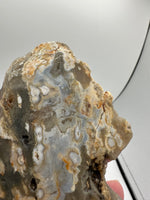 8th Vein Ocean Jasper Slab #29