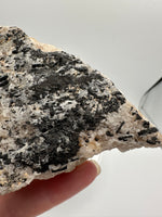 Black Tourmaline in Matrix Specimen