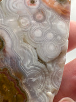 8th Vein Ocean Jasper Slab #48
