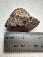Madagascar Raw Amber Specimen #15