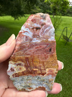 8th Vein Ocean Jasper Slab #53