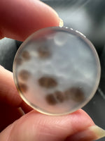 Scenic Dendritic Agate Cabochon #2