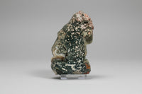 8th Vein Ocean Jasper Slab #20