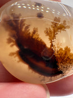 Designer Dendritic Agate Cabochon #6