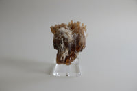 Natural Amber Calcite Raw Specimen UV Reactive #17