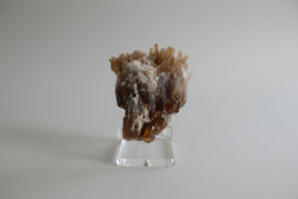 Natural Amber Calcite Raw Specimen UV Reactive #17
