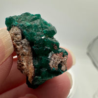 Green Dioptase from Republic of Congo Specimen #3