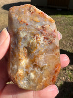 Savannah River Agate Specimen 1d