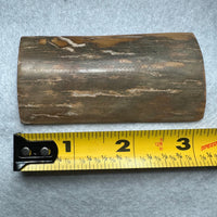 Woolly Mammoth Ivory, Pleistocene, Siberia, Russia