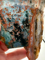8th Vein Ocean Jasper Slab #57