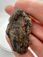 Madagascar Raw Amber Specimens BIN #2