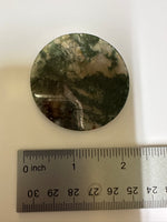 Moss Agate Polished Round Slice #10