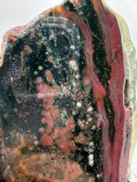 8th Vein Ocean Jasper Slab #46