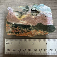 8th Vein Ocean Jasper Slab #54