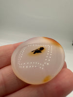 Designer Dendritic Agate Cabochon #10