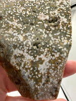 8th Vein Ocean Jasper Slab #8