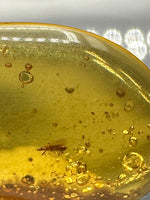 Fossil Insect Inclusion in Burmese Amber #3