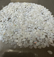 Opal 5x3mm Pear Shape Pack of 10