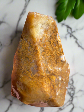 Savannah River Agate Specimen 1c