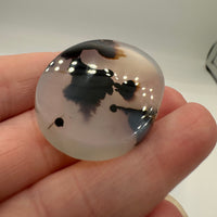 Designer Dendritic Agate Cabochon #11