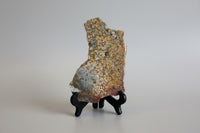 8th Vein Ocean Jasper Slab #85