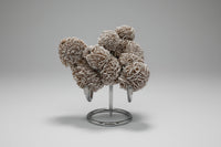 Selenite "Desert Rose," Samalayuka Desert, Chihuahua, Mexico #1