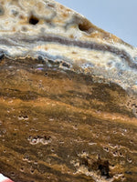 8th Vein Ocean Jasper Slab #15