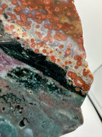 8th Vein Ocean Jasper Slab #25