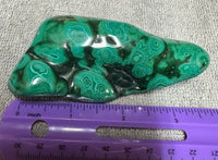 Polished Malachite Freeform, Zaire, Africa #6