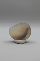 Designer Dendritic Agate Cabochon #6