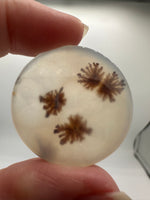 Scenic Dendritic Agate Cabochon #9