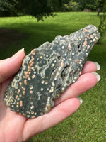 8th Vein Ocean Jasper Slab #35