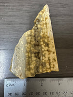 8th Vein Ocean Jasper Slab #94