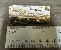 8th Vein Ocean Jasper Polished Free Form #2