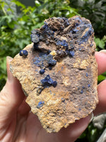 Azurite Specimen Sierra Rica Chihuahua, Mexico #1