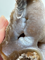 Withlacoochee River Agatized Coral #3