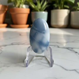 Owyhee Blue Opal Cabochon #28