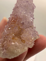 Amethyst Spirit Cactus Cluster, South Africa #3