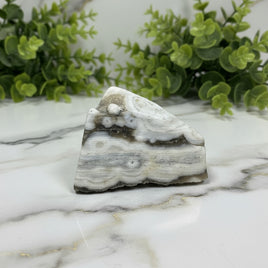 6th Vein Ocean Jasper Polished Freeform #53