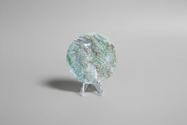 Moss Agate Polished Round Slice #1
