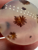 Scenic Dendritic Agate Cabochon #10