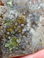8th Vein Ocean Jasper Slab #47