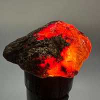 Madagascar Raw Amber Specimen #13